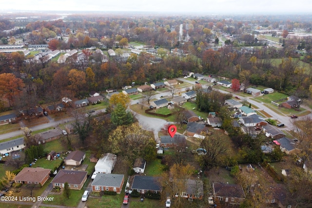 bird's eye view