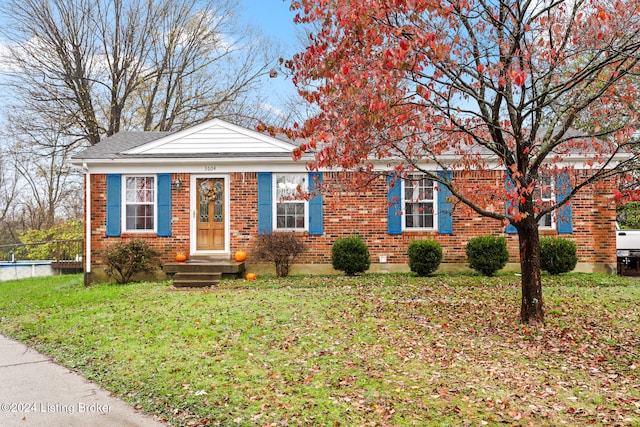 view of front of house with a front yard