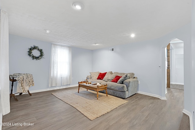 living room with wood-type flooring