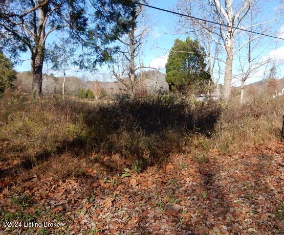 2824 Horsefly Hollow Rd, Lebanon Junction KY, 40150 land for sale