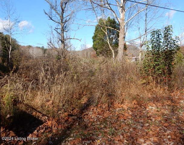 Listing photo 3 for 2824 Horsefly Hollow Rd, Lebanon Junction KY 40150