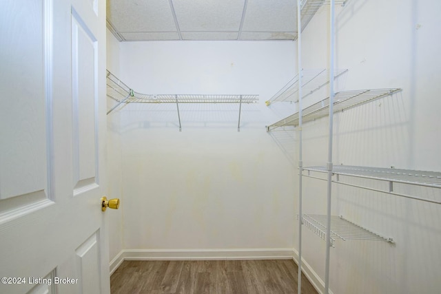 walk in closet with hardwood / wood-style floors and a drop ceiling