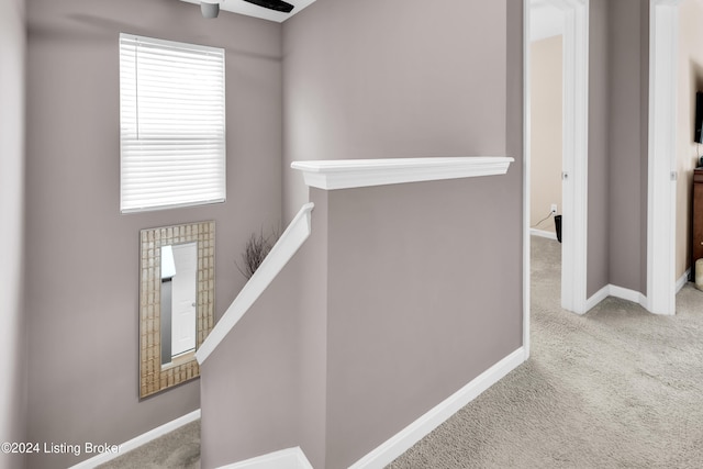 staircase featuring ceiling fan and carpet floors