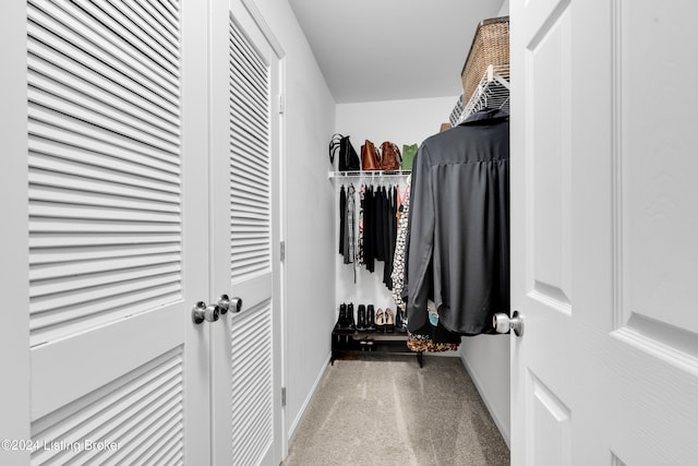 spacious closet with carpet