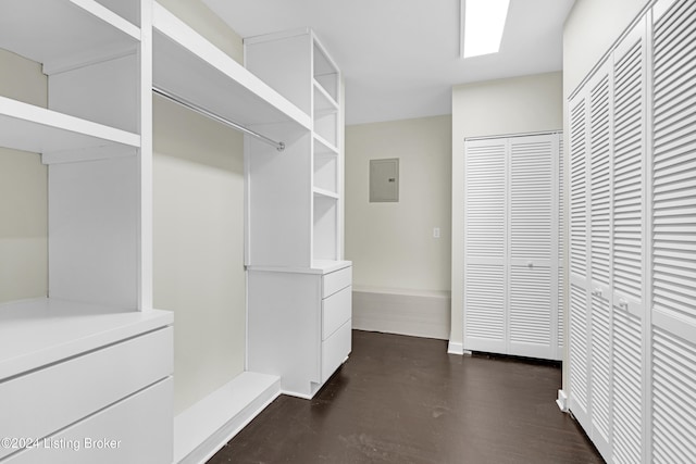 spacious closet with electric panel