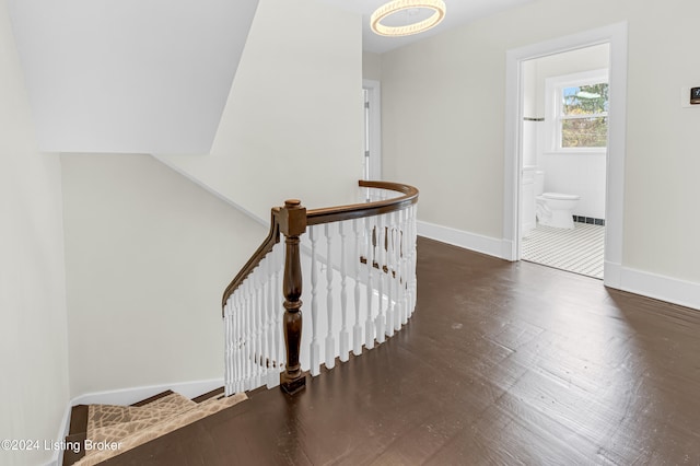 stairs with hardwood / wood-style floors