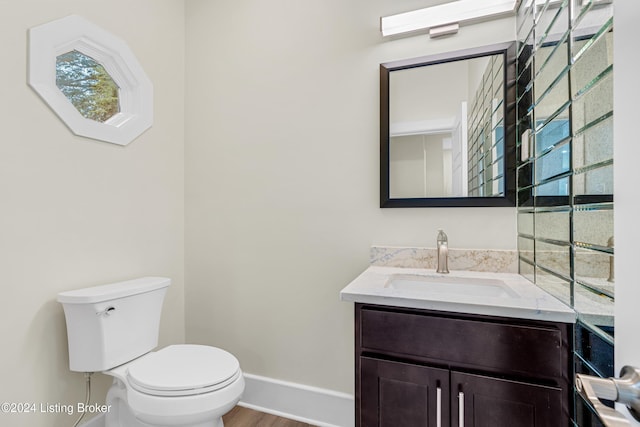 bathroom featuring vanity, toilet, and wood-type flooring