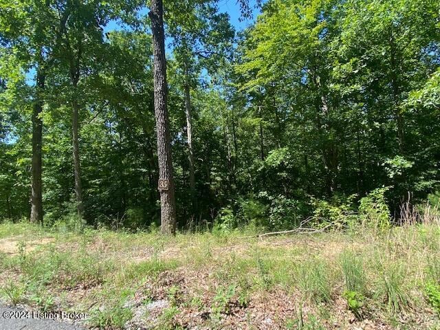 35 Tulip Poplar Ln, Leitchfield KY, 42207 land for sale