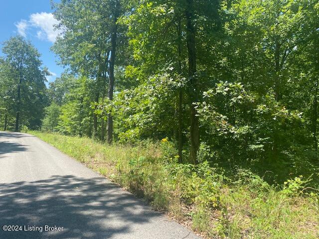 Listing photo 3 for 35 Tulip Poplar Ln, Leitchfield KY 42207