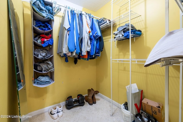 spacious closet featuring carpet