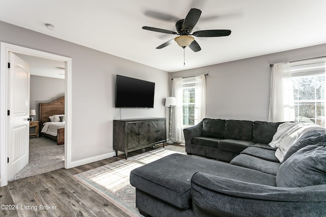 living room featuring ceiling fan, plenty of natural light, and wood-type flooring