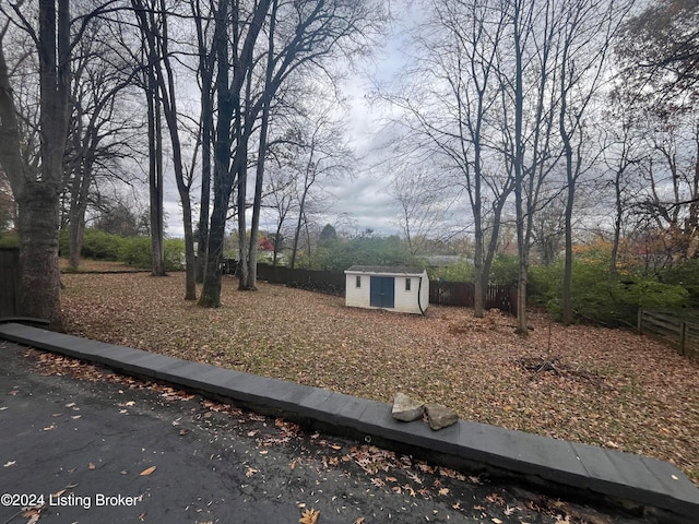 view of yard featuring a shed