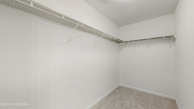 spacious closet featuring light carpet