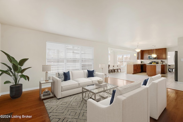 living room featuring light hardwood / wood-style floors