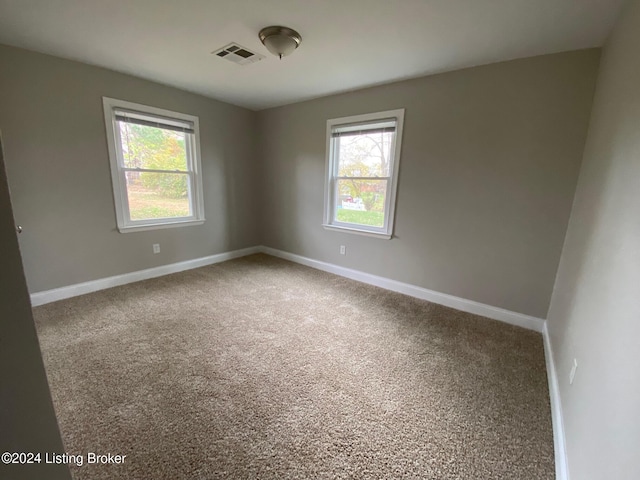 empty room with carpet flooring and a healthy amount of sunlight