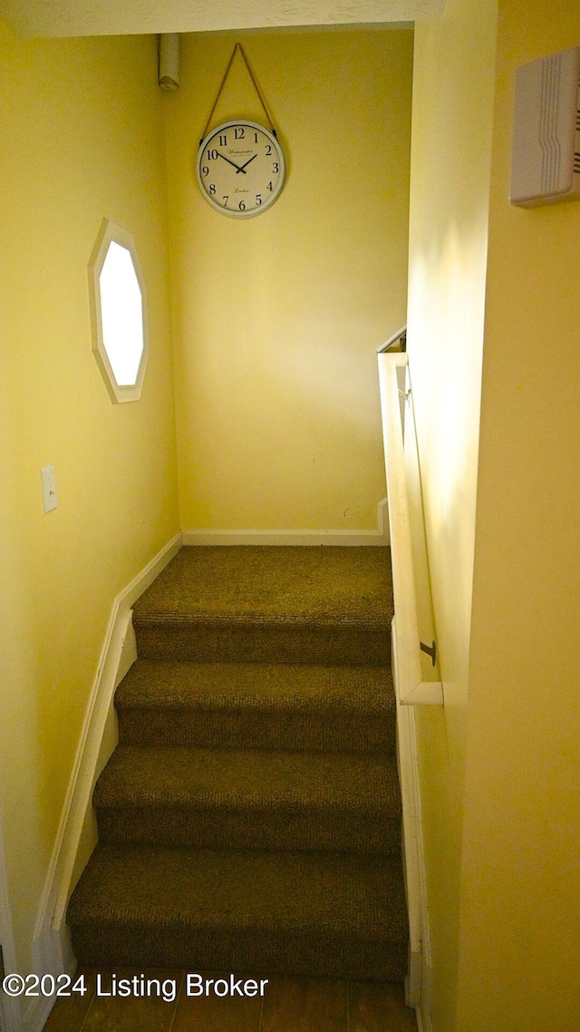 stairs with carpet flooring