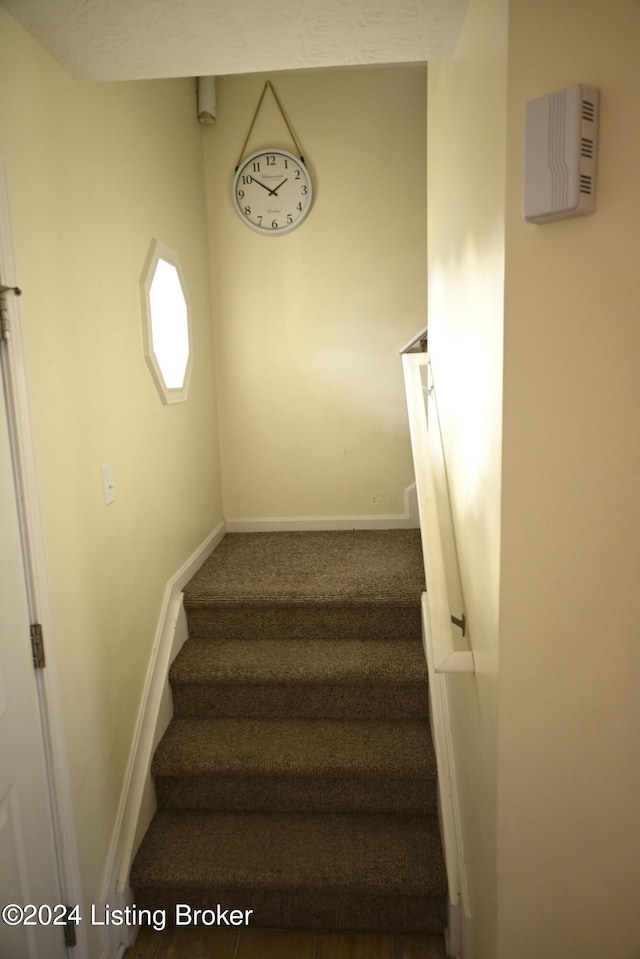 staircase featuring carpet