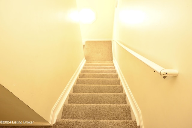 stairway featuring carpet