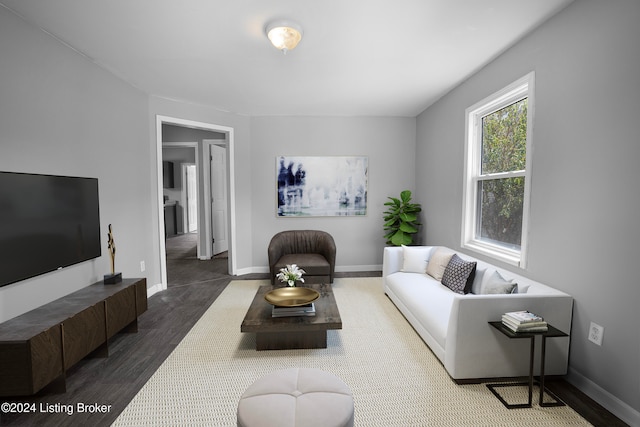 living room featuring dark wood-type flooring