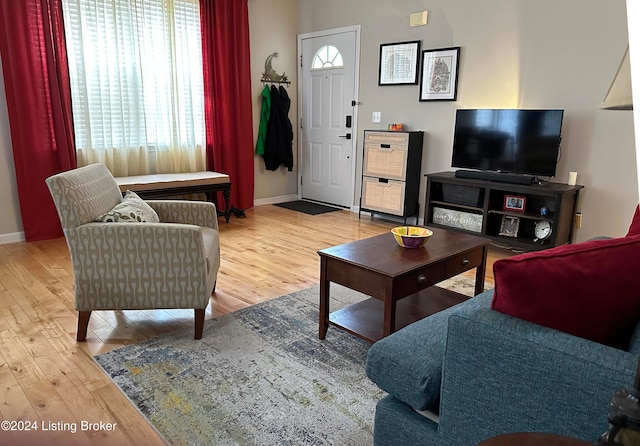 living room with hardwood / wood-style floors