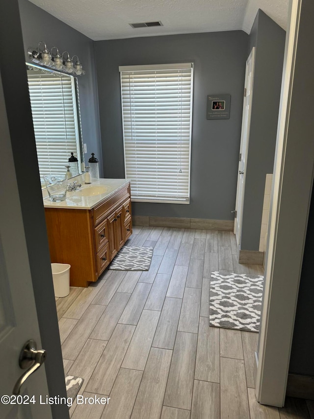 bathroom with vanity, wood-type flooring, and a textured ceiling