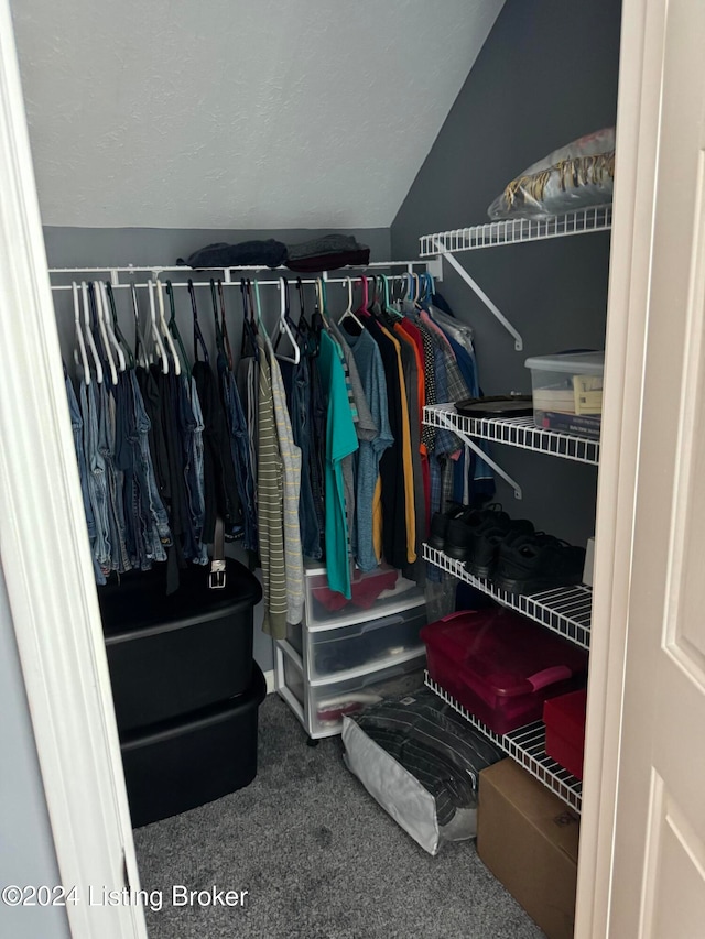 spacious closet featuring carpet floors and vaulted ceiling