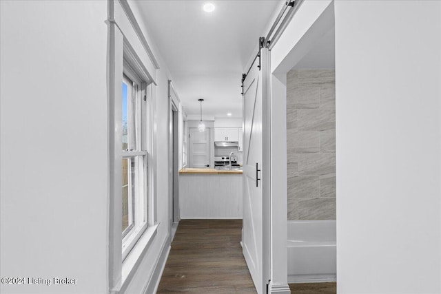 hallway featuring a barn door, sink, and dark wood-type flooring