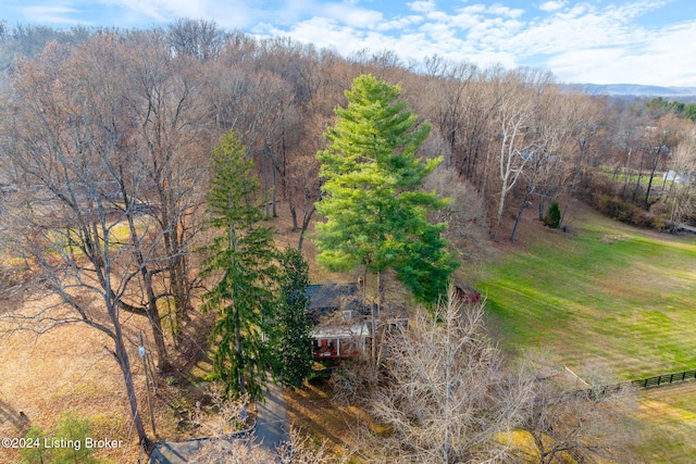 drone / aerial view featuring a rural view