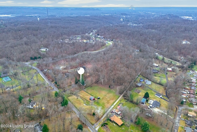 aerial view