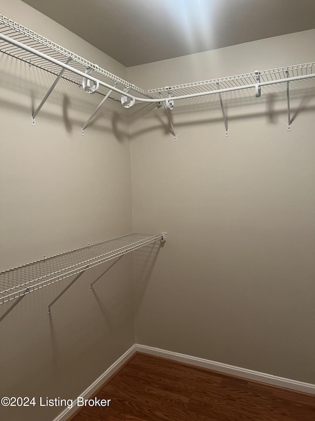 spacious closet featuring dark hardwood / wood-style floors