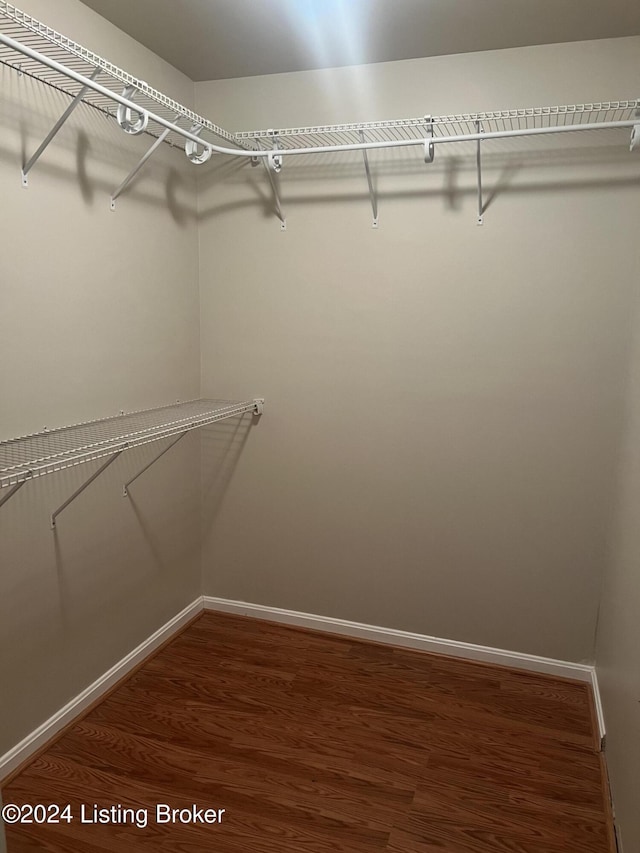 walk in closet featuring hardwood / wood-style floors