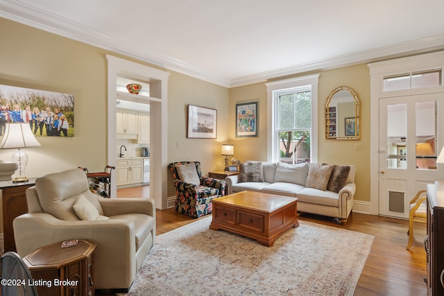 living room featuring sink, crown molding, and light hardwood / wood-style flooring