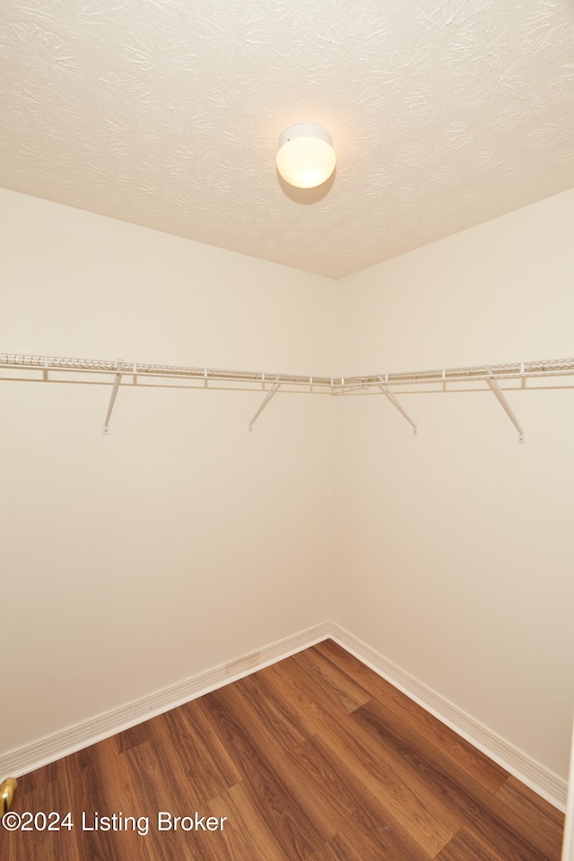 walk in closet featuring wood-type flooring