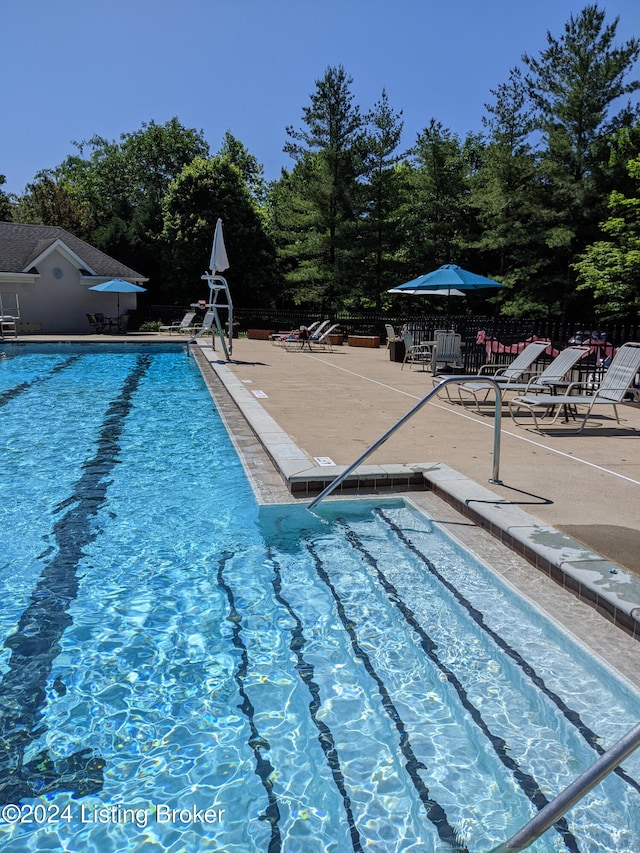 view of swimming pool featuring a patio area