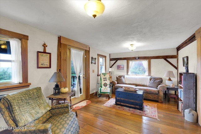 living room with hardwood / wood-style flooring