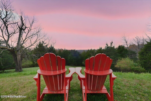 view of yard at dusk