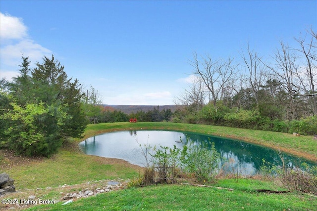 view of water feature