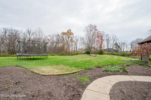 view of yard with a trampoline