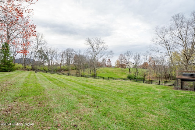 view of yard with a rural view