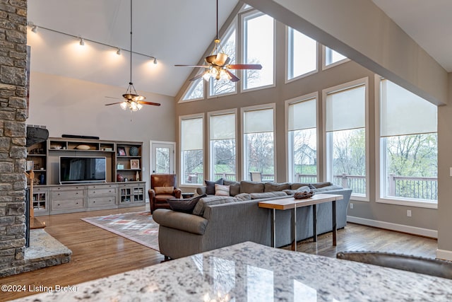 living room featuring rail lighting, a healthy amount of sunlight, and high vaulted ceiling