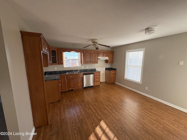 kitchen featuring ceiling fan, sink, stainless steel dishwasher, and wood-type flooring