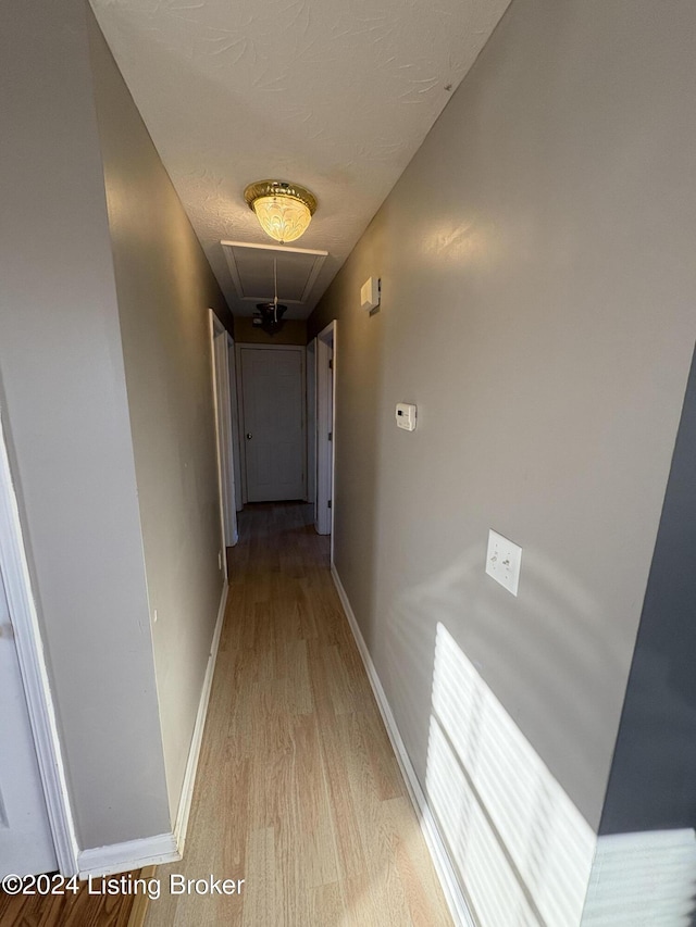 corridor featuring light hardwood / wood-style floors