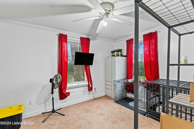 exercise room with carpet flooring, ceiling fan, a healthy amount of sunlight, and crown molding