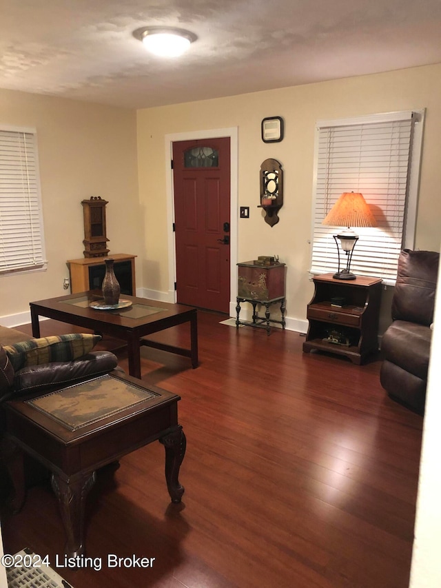 living room with dark hardwood / wood-style flooring