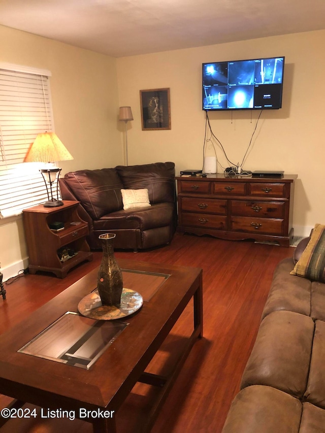 living room with dark hardwood / wood-style floors