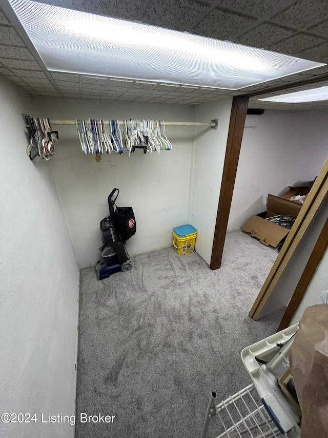 basement with carpet