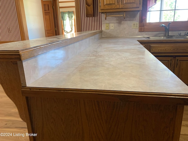 kitchen with light hardwood / wood-style flooring and sink