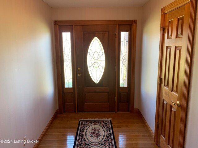 entrance foyer featuring light wood-type flooring