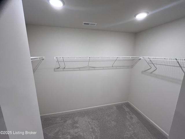 spacious closet featuring visible vents and carpet flooring