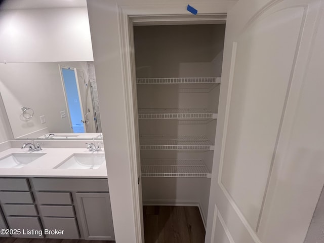 closet featuring a sink